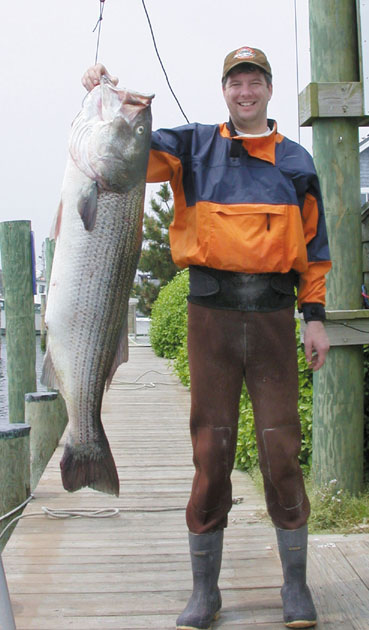 OC 52-Pound Striper