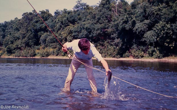 Potomac Smallmouth