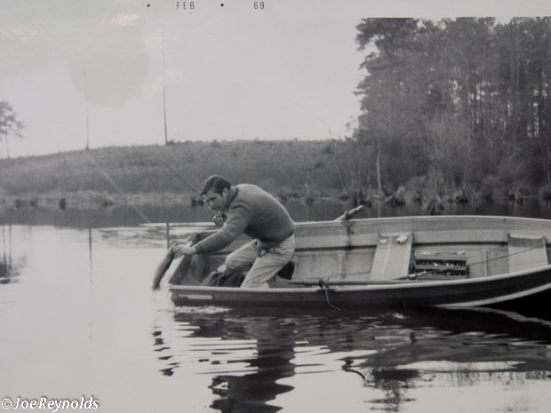 Chain Pickerel