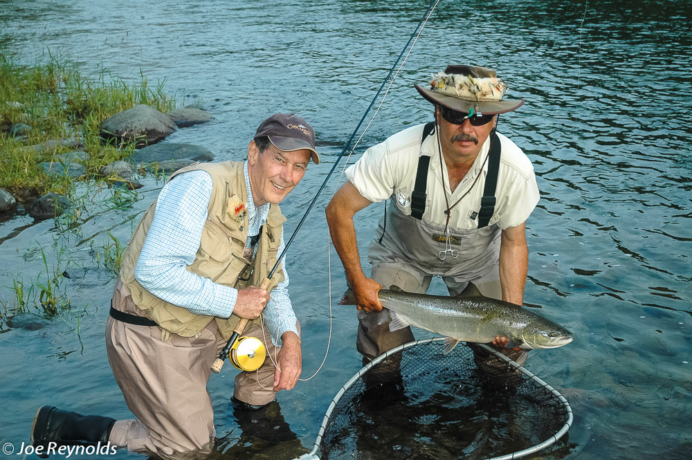 Atlantic Salmon