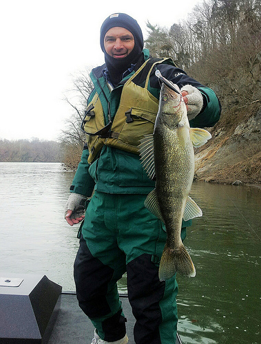 Walleye