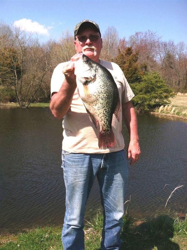 Trophy Crappie