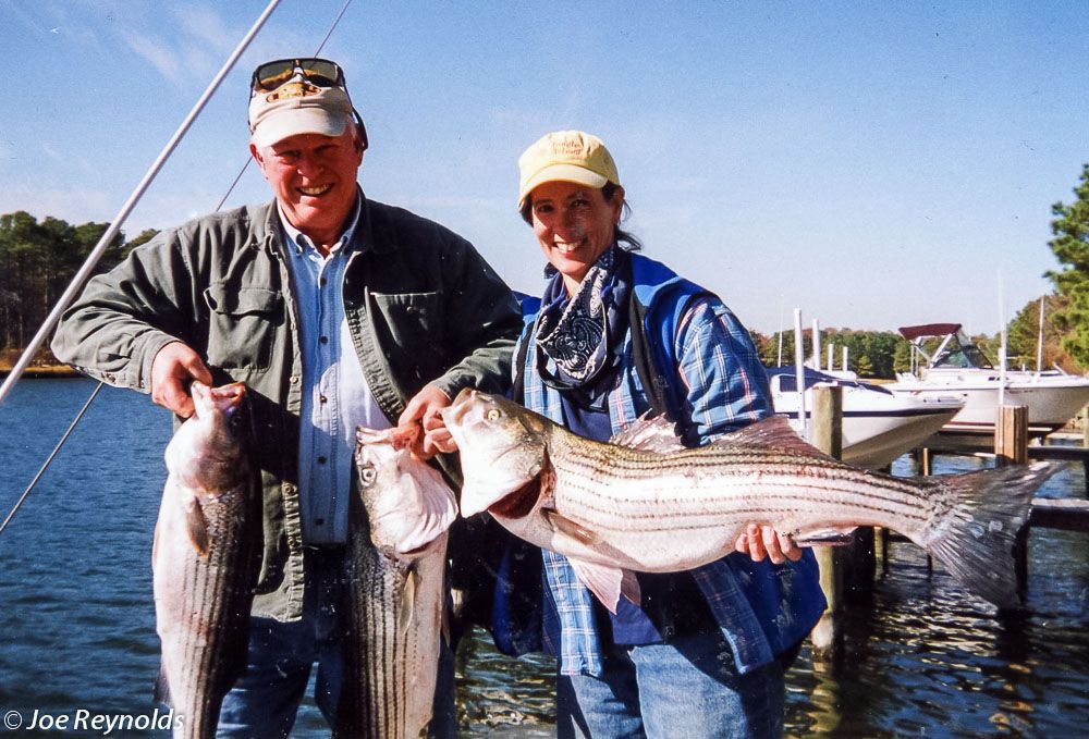 OC Stripers