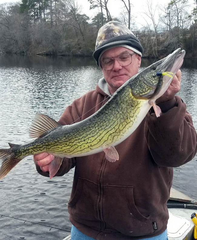 Chain Pickerel Record