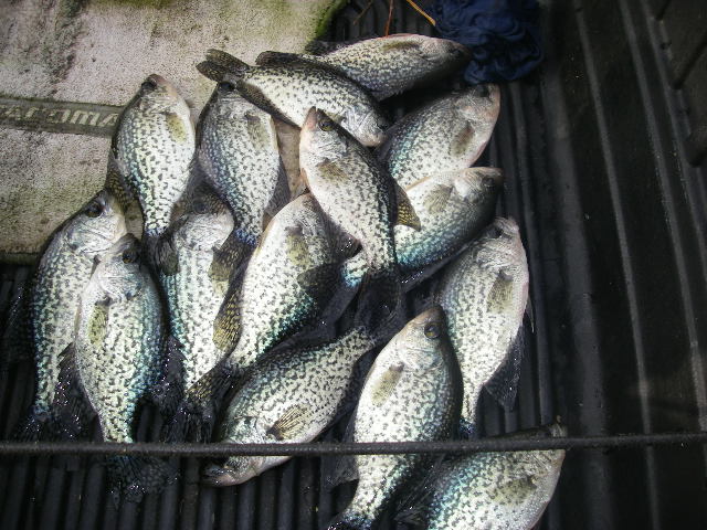 11-1-16 Crappie Fishing