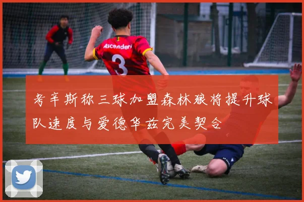 考辛斯称三球加盟森林狼将提升球队速度与爱德华兹完美契合