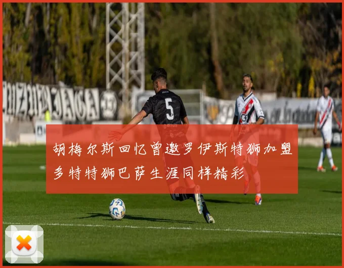 胡梅尔斯回忆曾邀罗伊斯特狮加盟多特特狮巴萨生涯同样精彩