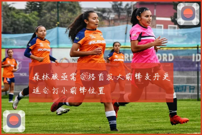 森林狼亟需合格首发大前锋麦丹更适合打小前锋位置