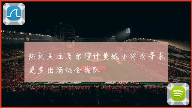 热刺关注马尔穆什曼城小将或寻求更多出场机会离队