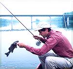 Joe Reynolds smallmouth bass fishing on the Potomac River just below the Brunswick Bridge. Circa 1975.