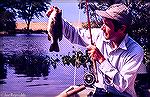 Here's a plump largemouth bass caught on the Little Blackwater River on Maryland's Eastern Shore. Photo by Chuck Edghill. Angler is Joe Reynolds. Early 70s.