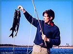 Joe Reynolds shows a pair of fly-caught chain picklerel from the Chicamicomico River on Maryland's Eastern Shore. Circa 1972. Photo by Chuck Edghill.