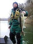 Upper Potomac Walleye. Photo from MDNR.