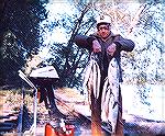 Angler with American Shad caught in Susquehanna River below Conowingo Dam in Maryland. June 1971. Photo at Rock Run Landing.