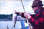 Wayne Treadway shows a small White Shad caught below Conowingo Dam on the Susquehanna River in Maryland. June 1971.