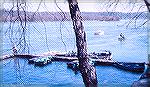 Scene at Rock Run Landing on the Susquehanna River in Maryland. Shad fishing season April 1968.