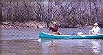 Ed Russel and Jim Heim fish for hickory shad on Susquehanna River at mouth of Deer Creek in Maryland. June 1969.