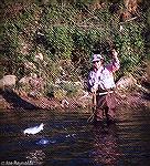 Chuck Edghill Fishing for hickory shad in the Rappahannock River in Virginia. May 1986.