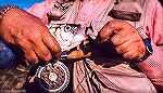 Fly fisherman unhooks a hickory shad. Notice fly hooked in lower jaw. May 1986.