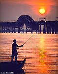 Simon Goldseker flyfishing for striped bass near the Chesapeake Bay Bridge on Kent Island side.