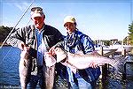 Bob Blatchley and wife Jan show a nice catch of fall striped bass from the back bays at Ocean City, Maryland.