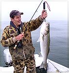 Fly-caught striped bass. Ocean City, Maryland. Angler Joe Reynolds.