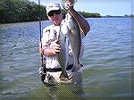 Wading Lemon Bay in FL. about three years ago. Redfish and Trout caught with a DOA Night Glow Shrimp.