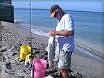 I fished the beach in Venice FL. for 15 years that I lived there.