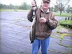 This is a first for me. Caught this snakehead on a 7" purple worm from shore on the Marshy Hope Creek. Not good news.